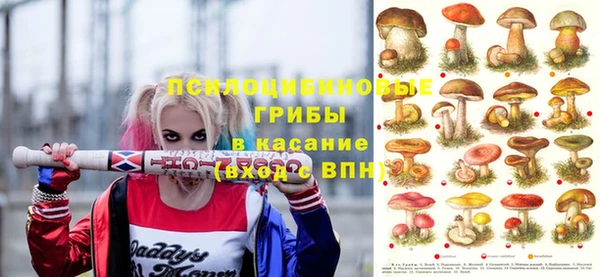 амф Алзамай