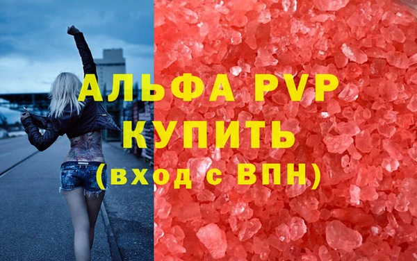 СК Абинск