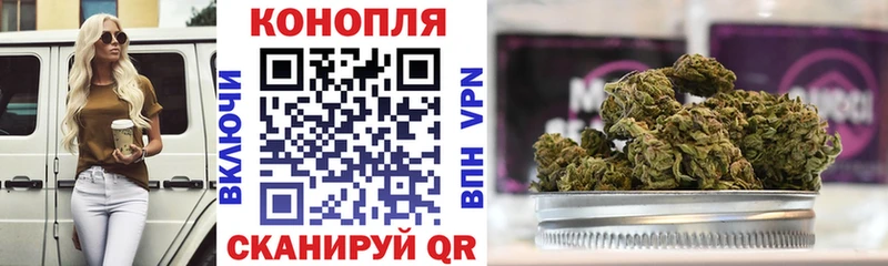 где продают наркотики  Снежногорск  Бошки марихуана AK-47 